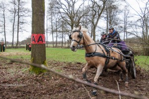 oefenmarathon 2016 MG 3455-3455 